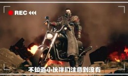 和平精英大表哥爆料视频,揭秘游戏新动态与精彩内容